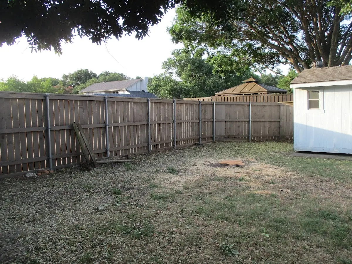 Cleared yard after professional tree removal in Lily
